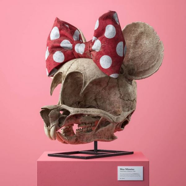 Чешский цифровой художник показал анатомически правильные черепа популярных мультперсонажей (12 фото)