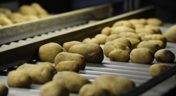 Топ-10: Важные факты про скромный картофель