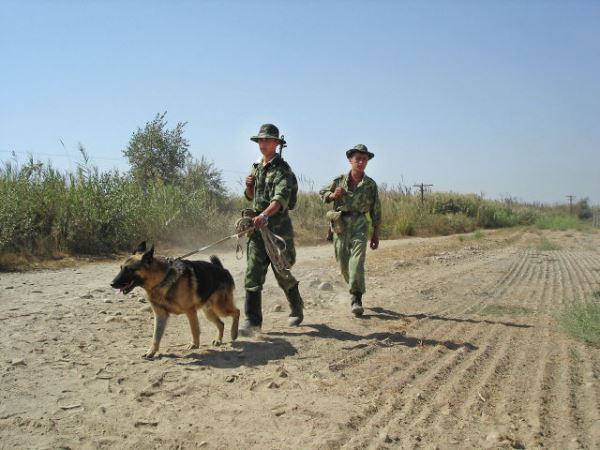В 2022 году военные инструкторы РФ обучат тысячу специалистов для армии Таджикистана